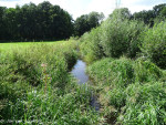 Gammelkerbeek